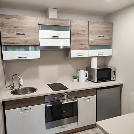 Monica Apartments Panevėžys Buitenkant foto